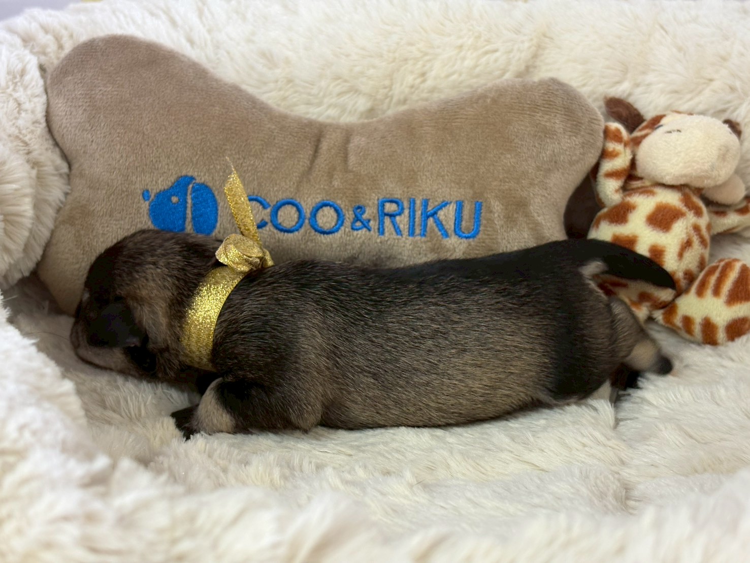 赤ちゃん写真1-2