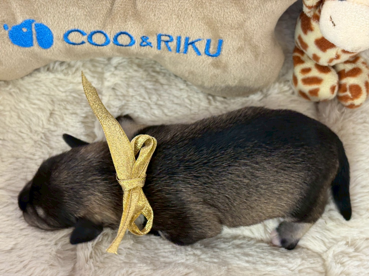 赤ちゃん写真1-3