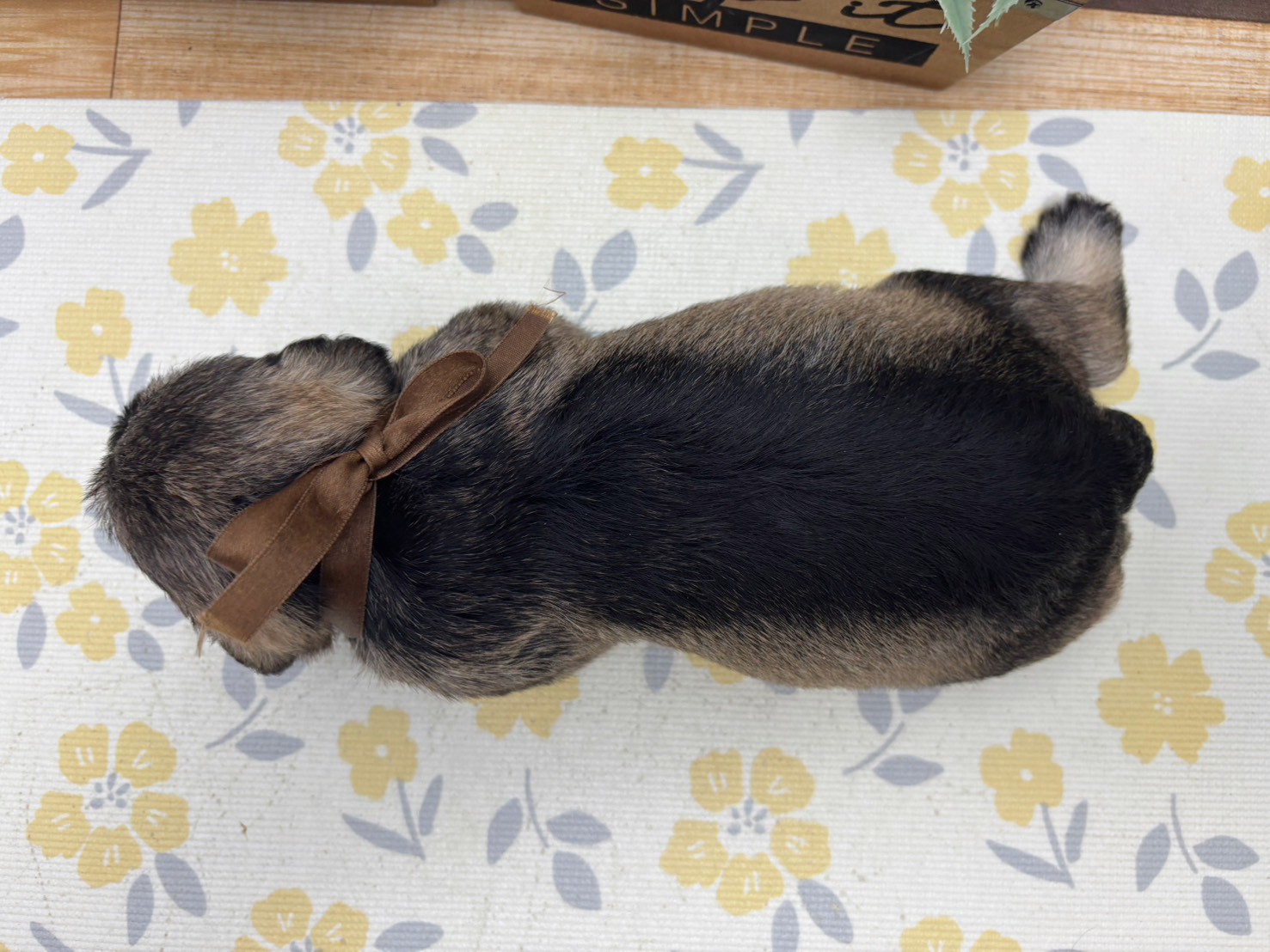 赤ちゃん写真2-3