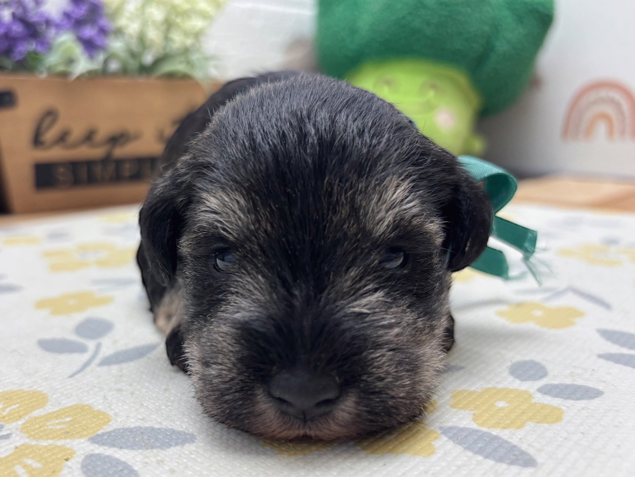 赤ちゃん写真2-1