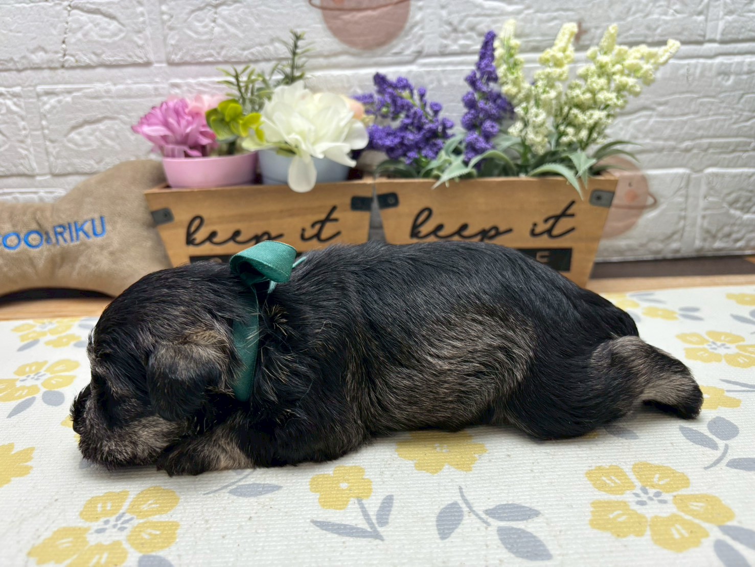 赤ちゃん写真2-2