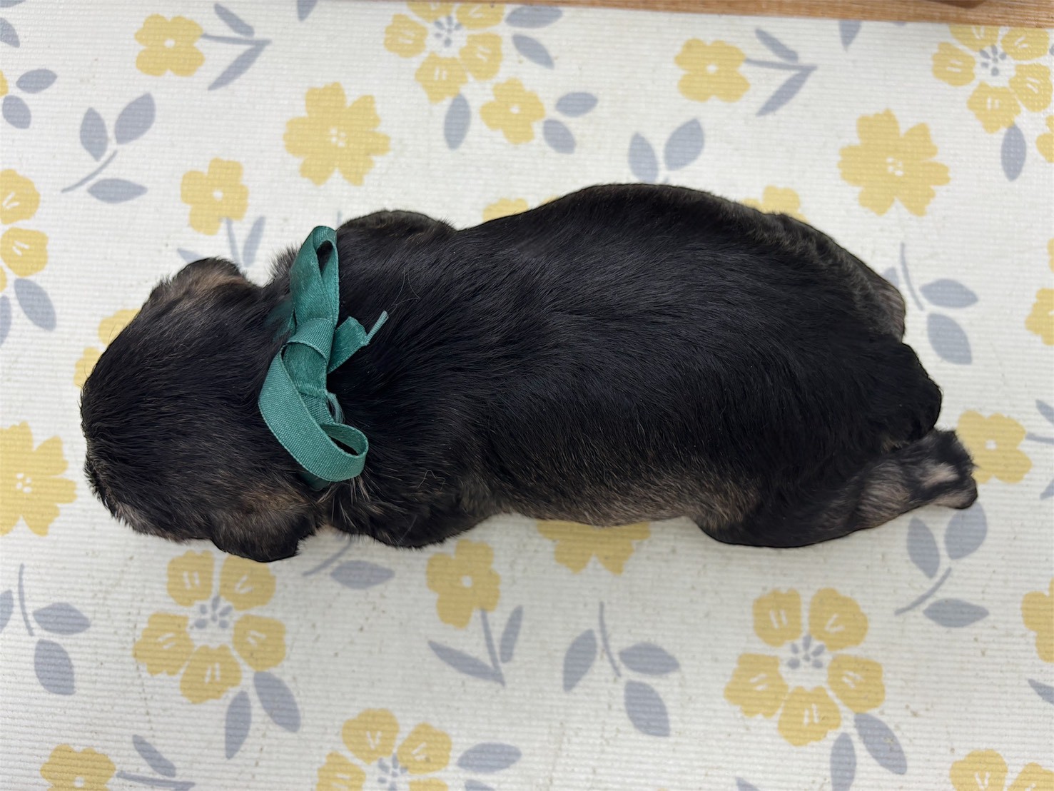 赤ちゃん写真2-3