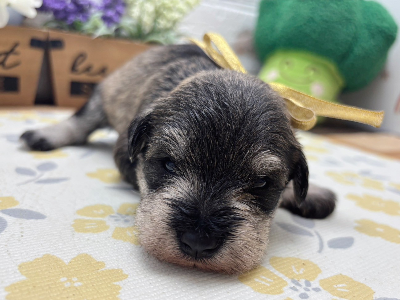 赤ちゃん写真2-1