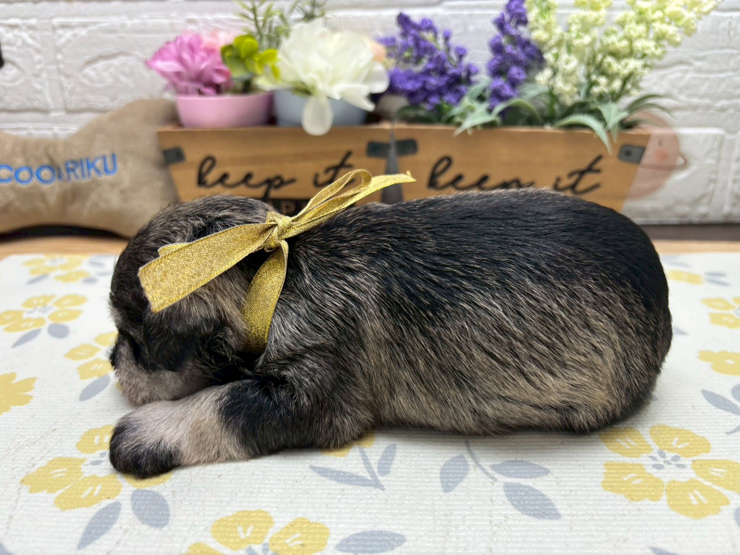 赤ちゃん写真2-2