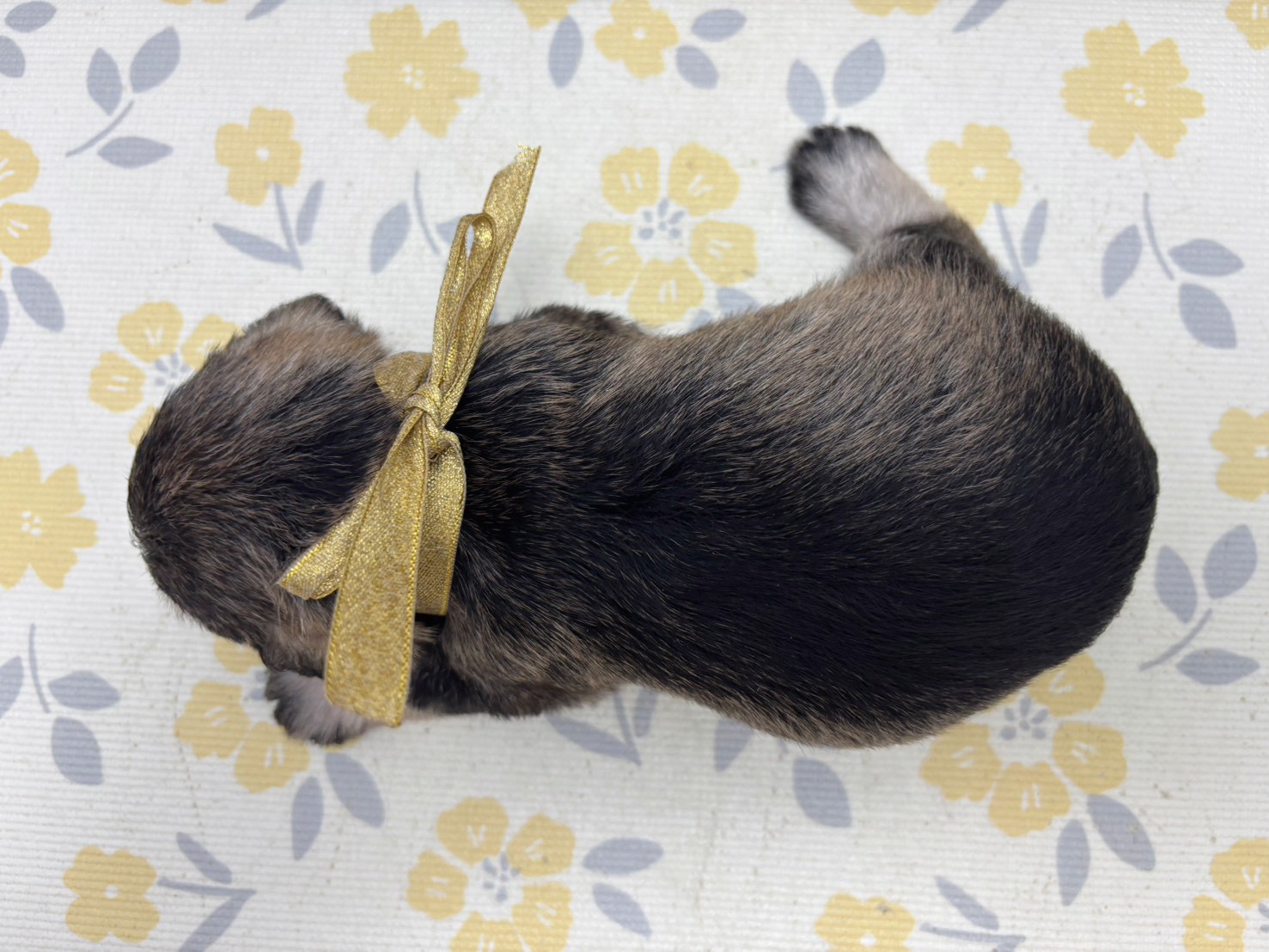 赤ちゃん写真2-3