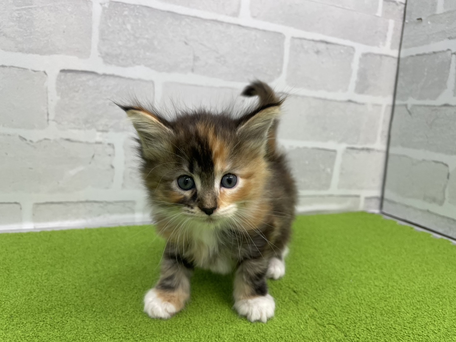 赤ちゃん写真2-1