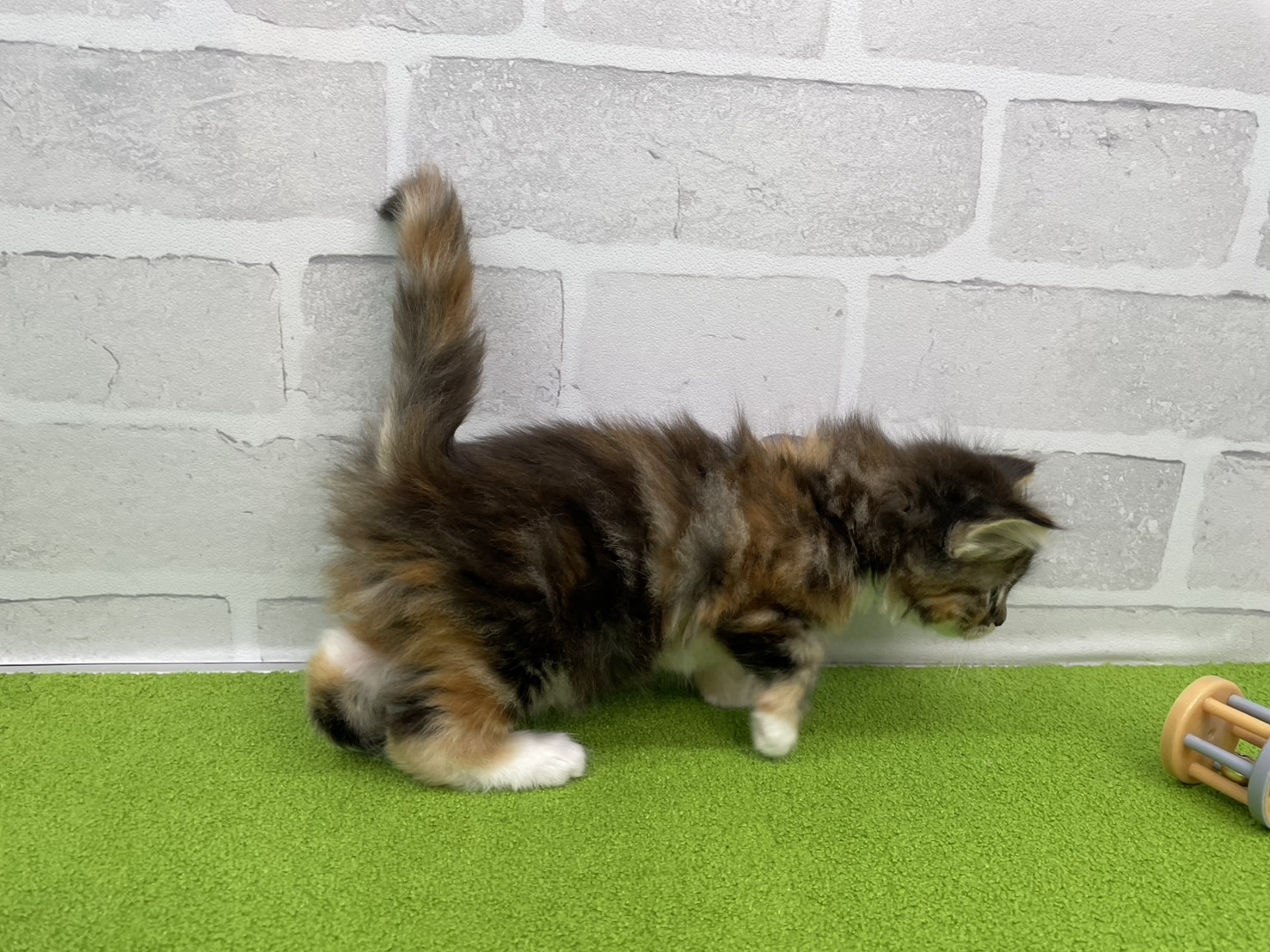 赤ちゃん写真2-2