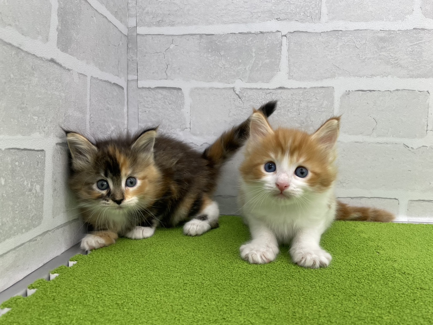 赤ちゃん写真2-3