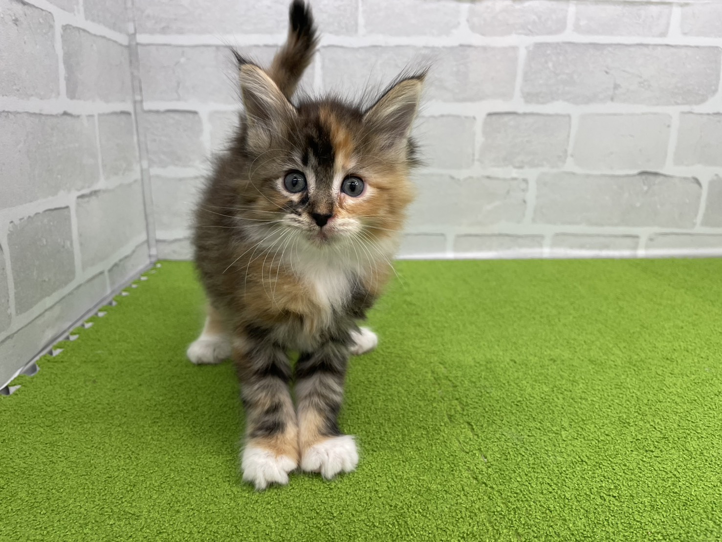 赤ちゃん写真3-1