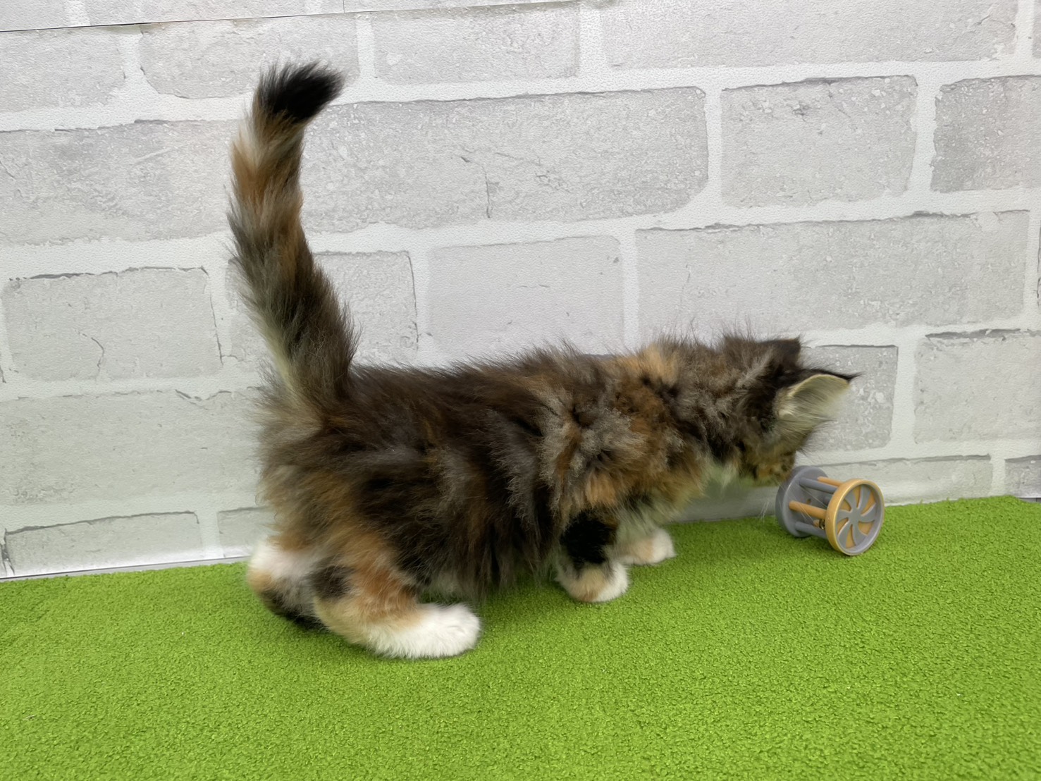 赤ちゃん写真3-2