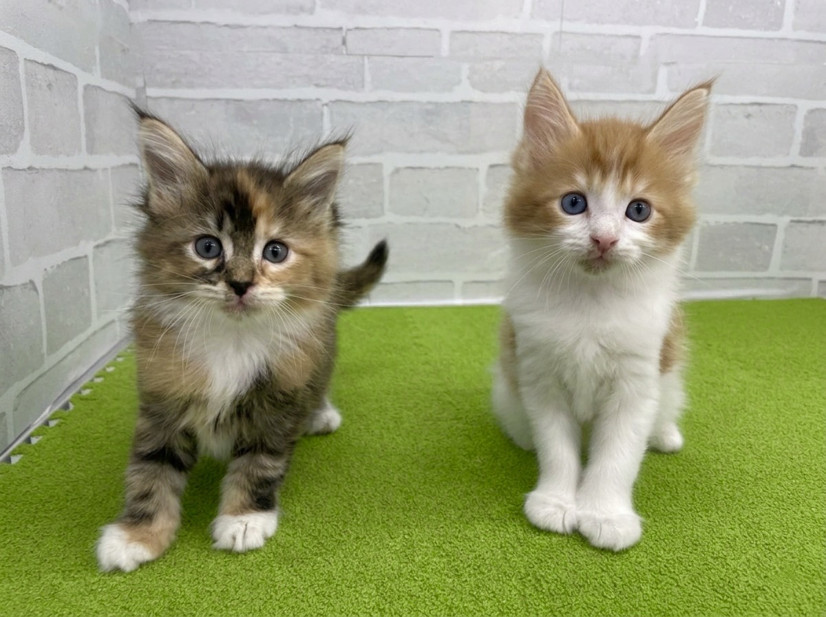 赤ちゃん写真3-3