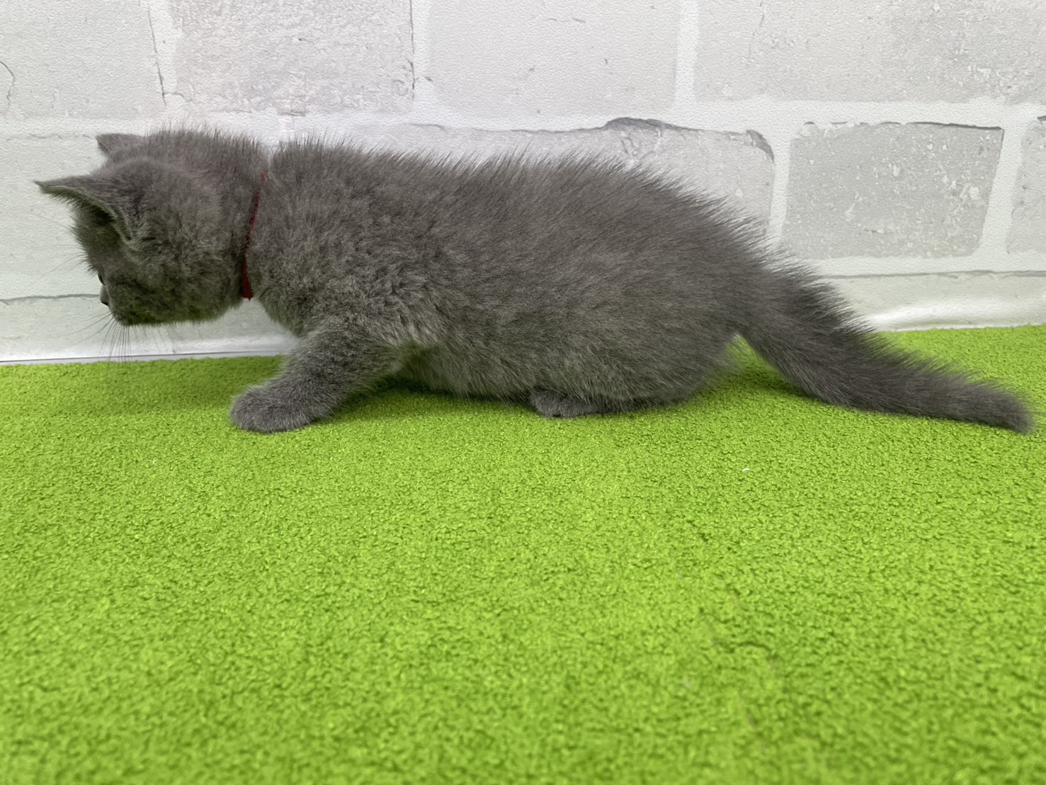 赤ちゃん写真2-2