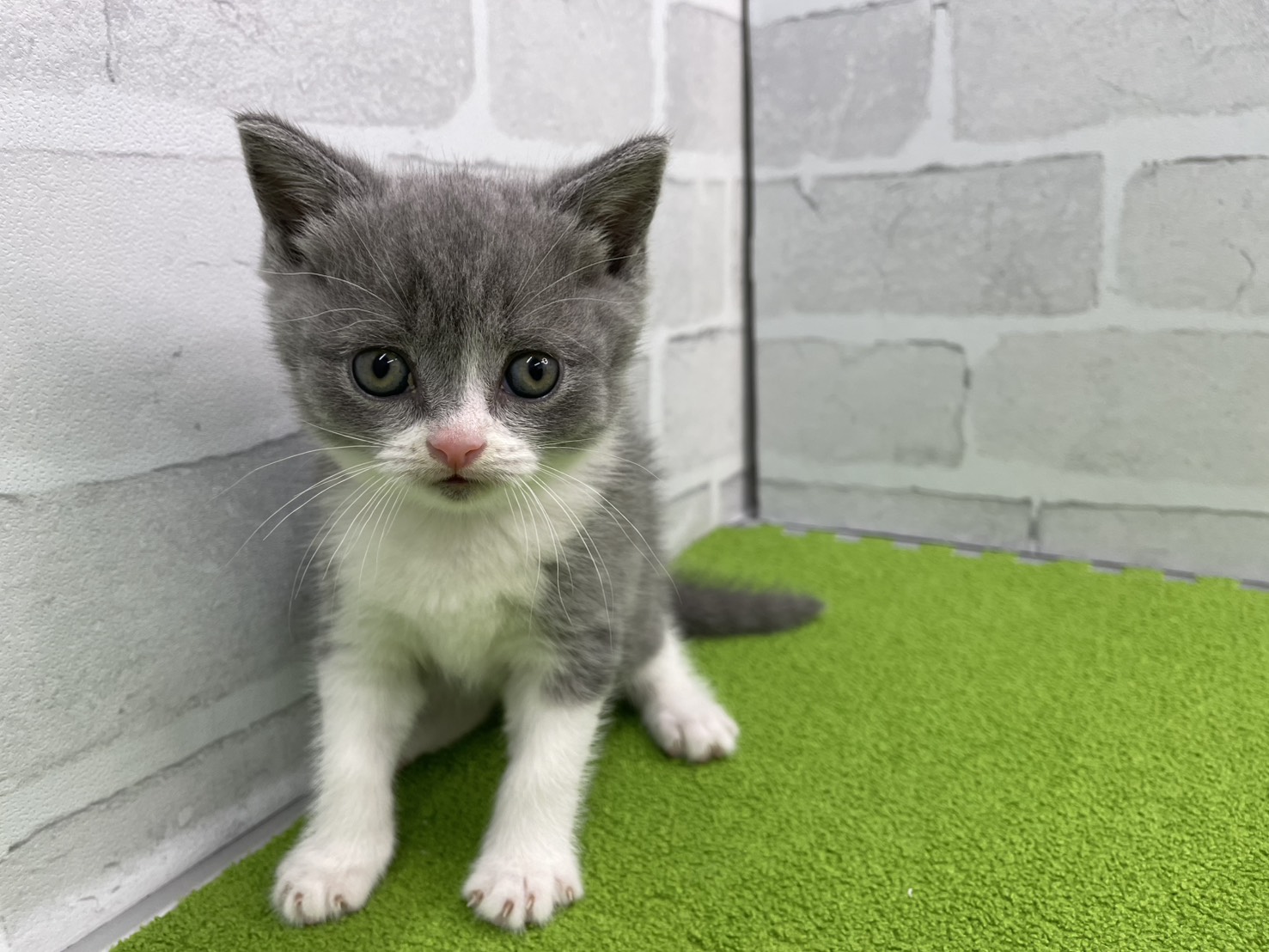 赤ちゃん写真2-1