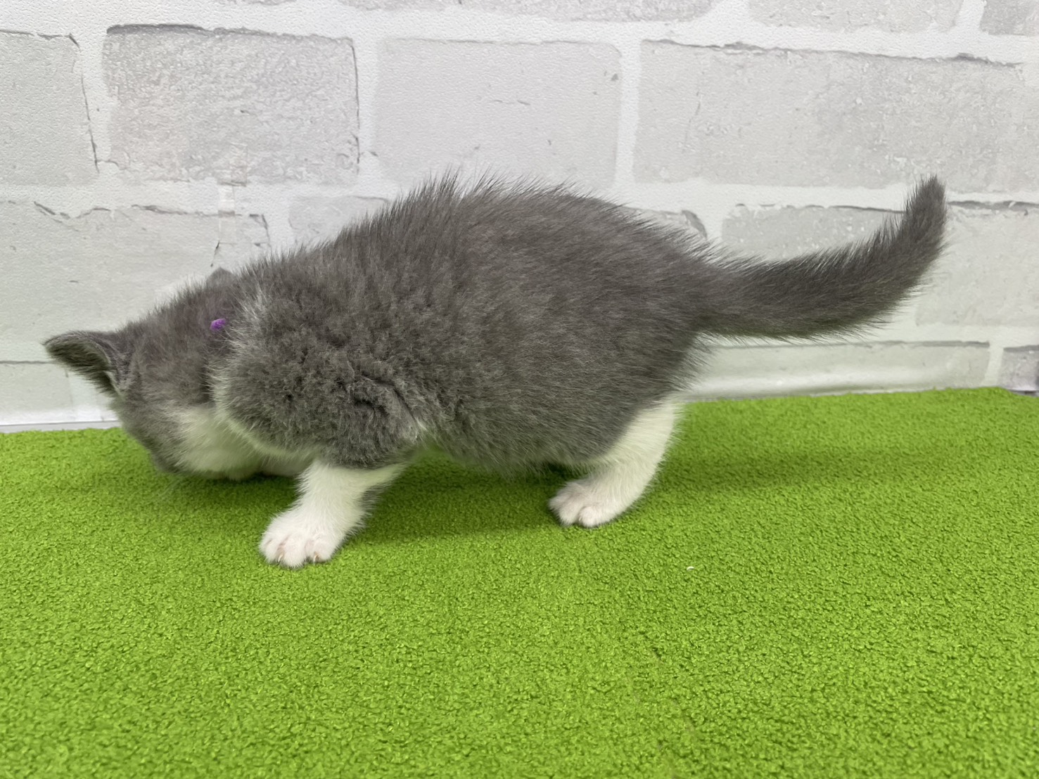 赤ちゃん写真2-2