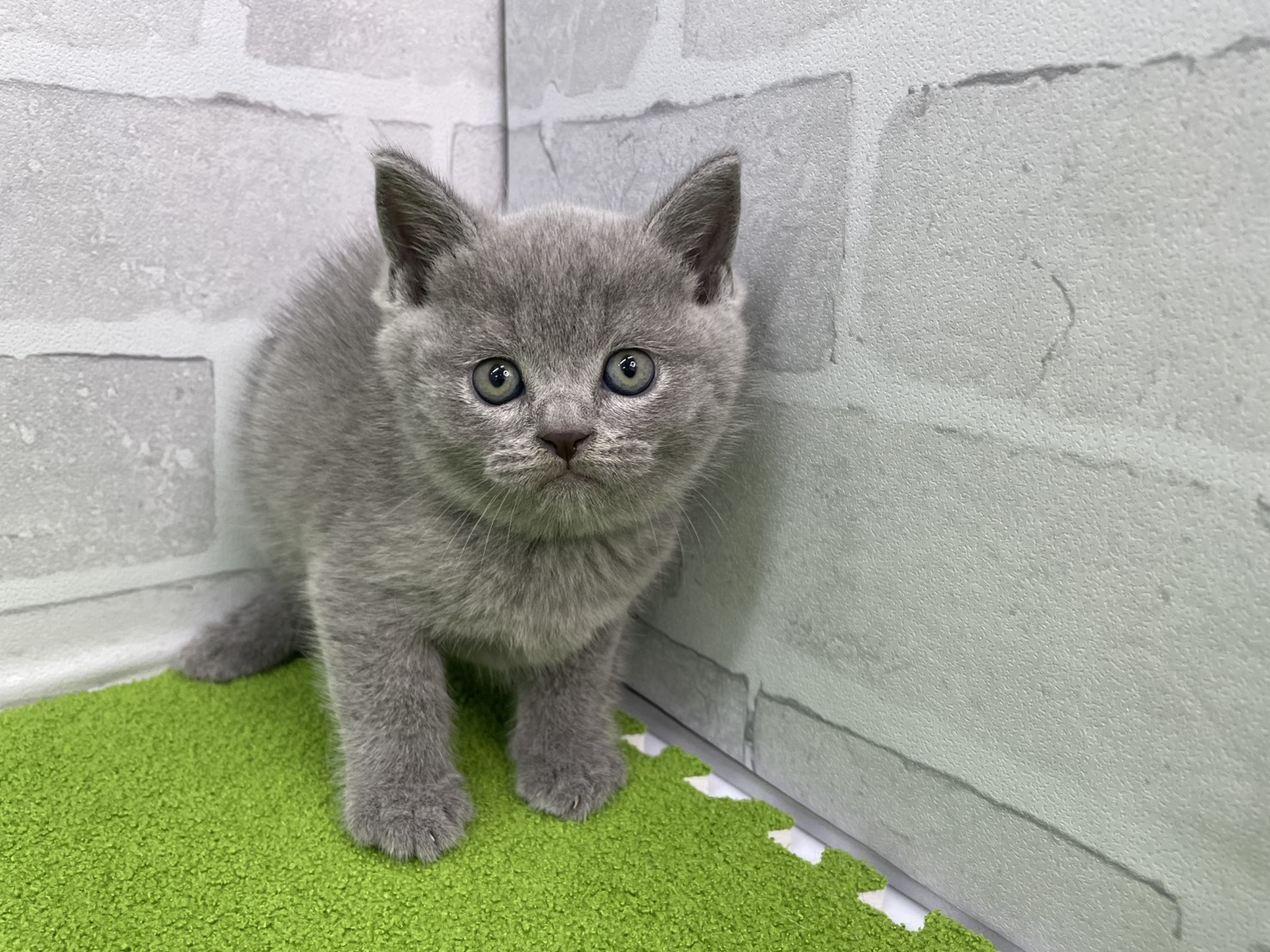 赤ちゃん写真2-1