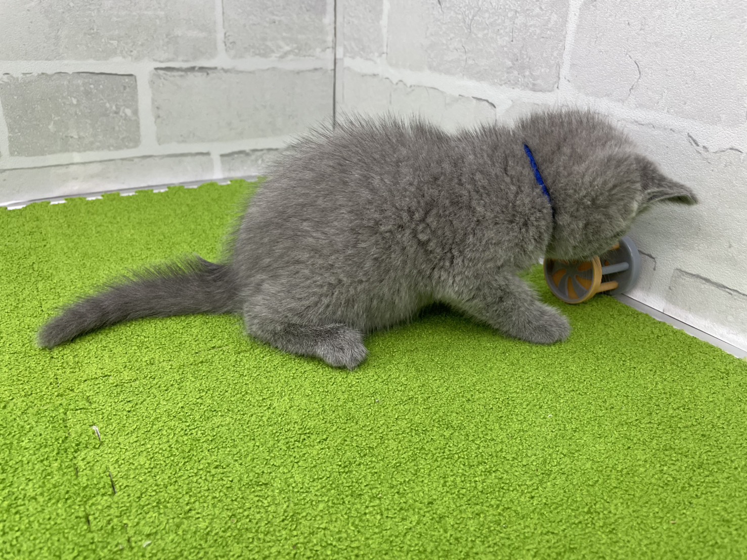 赤ちゃん写真2-2