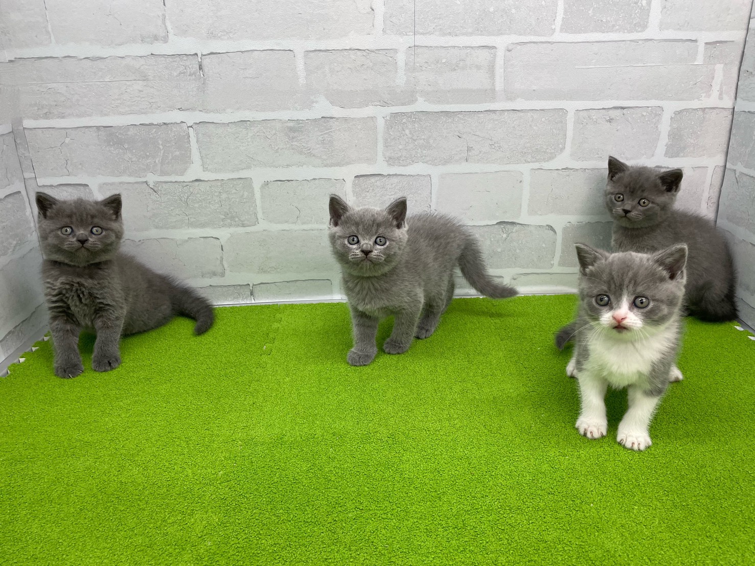 赤ちゃん写真2-3