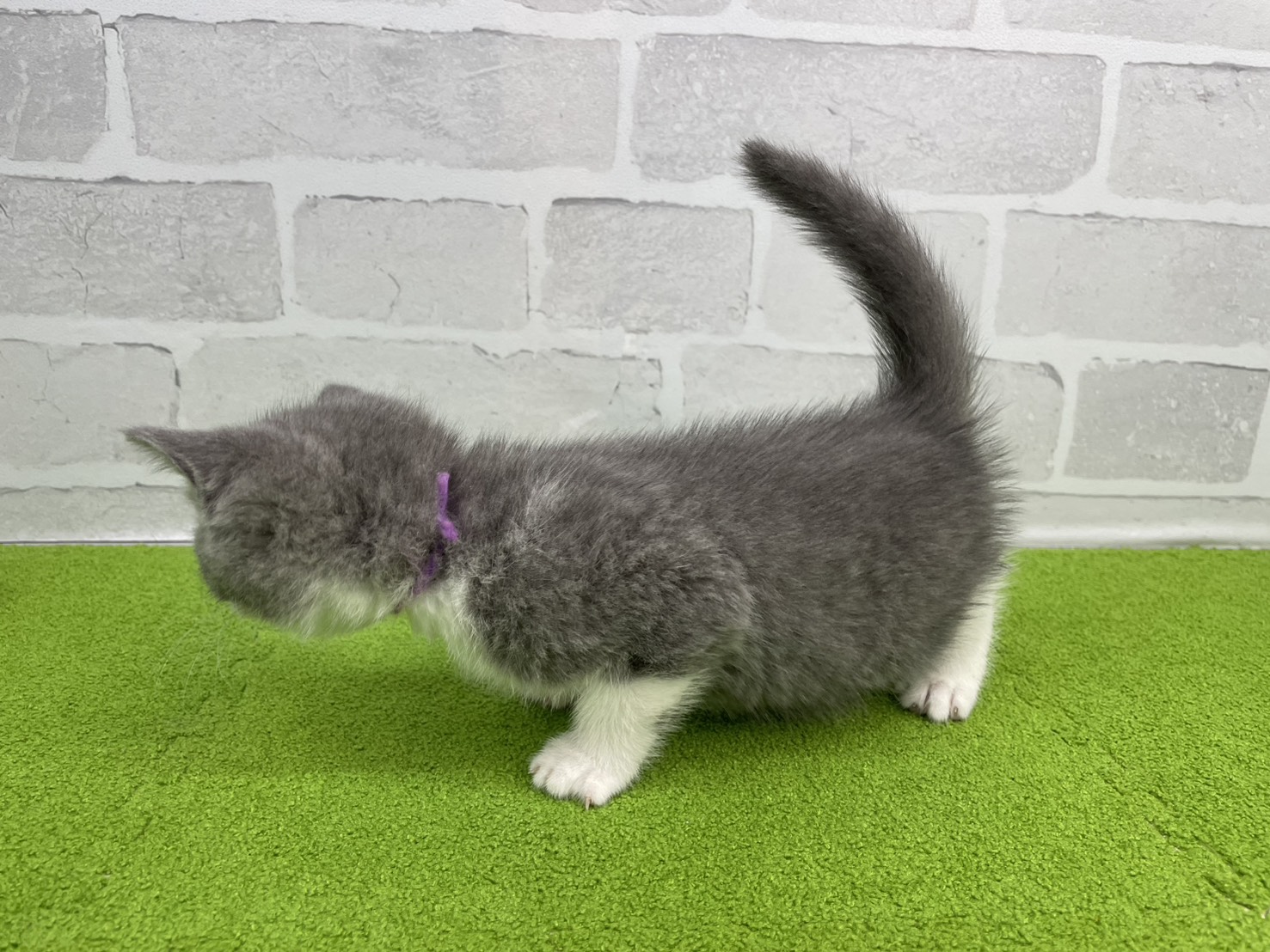 赤ちゃん写真3-2