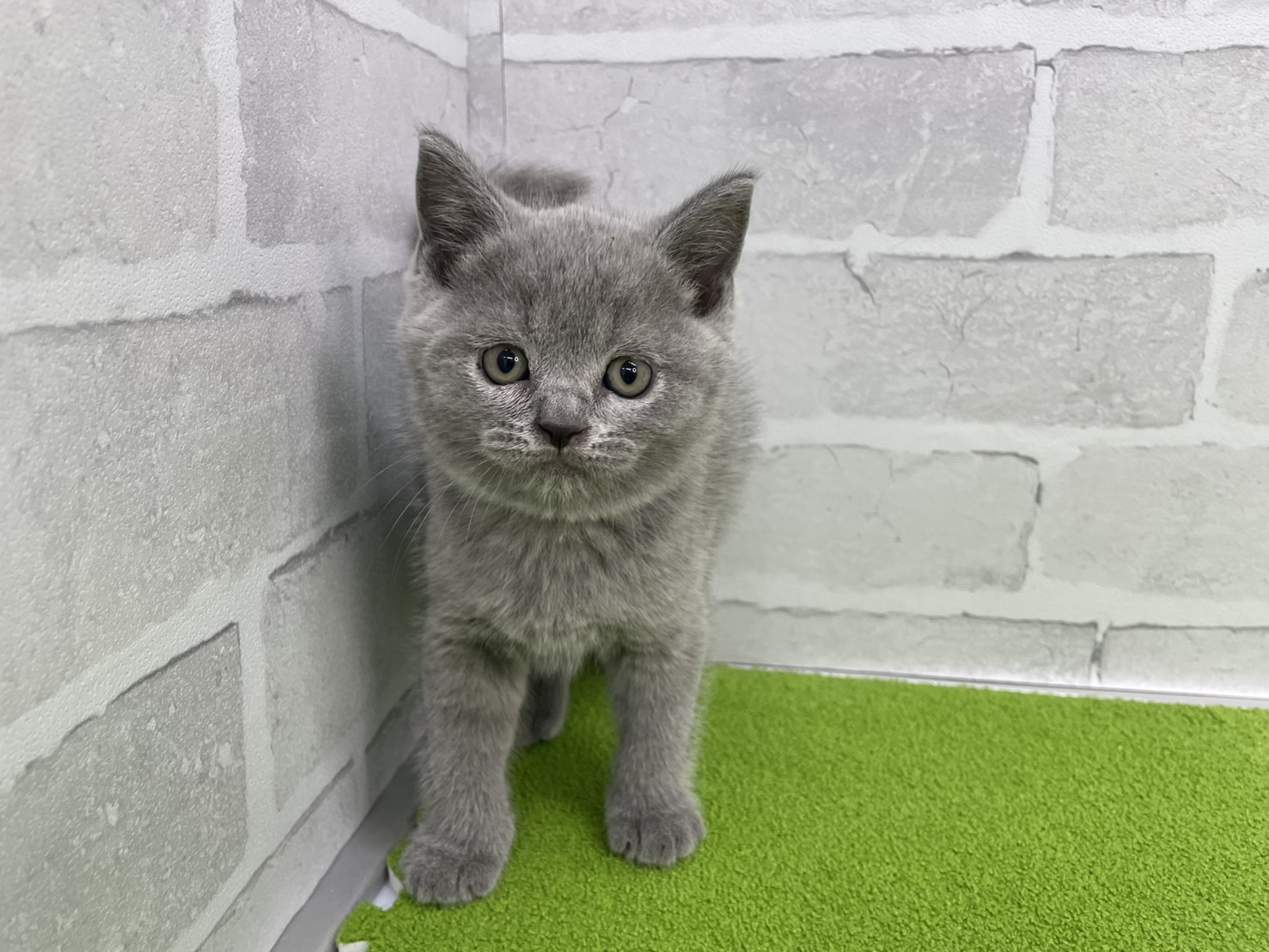 赤ちゃん写真3-1