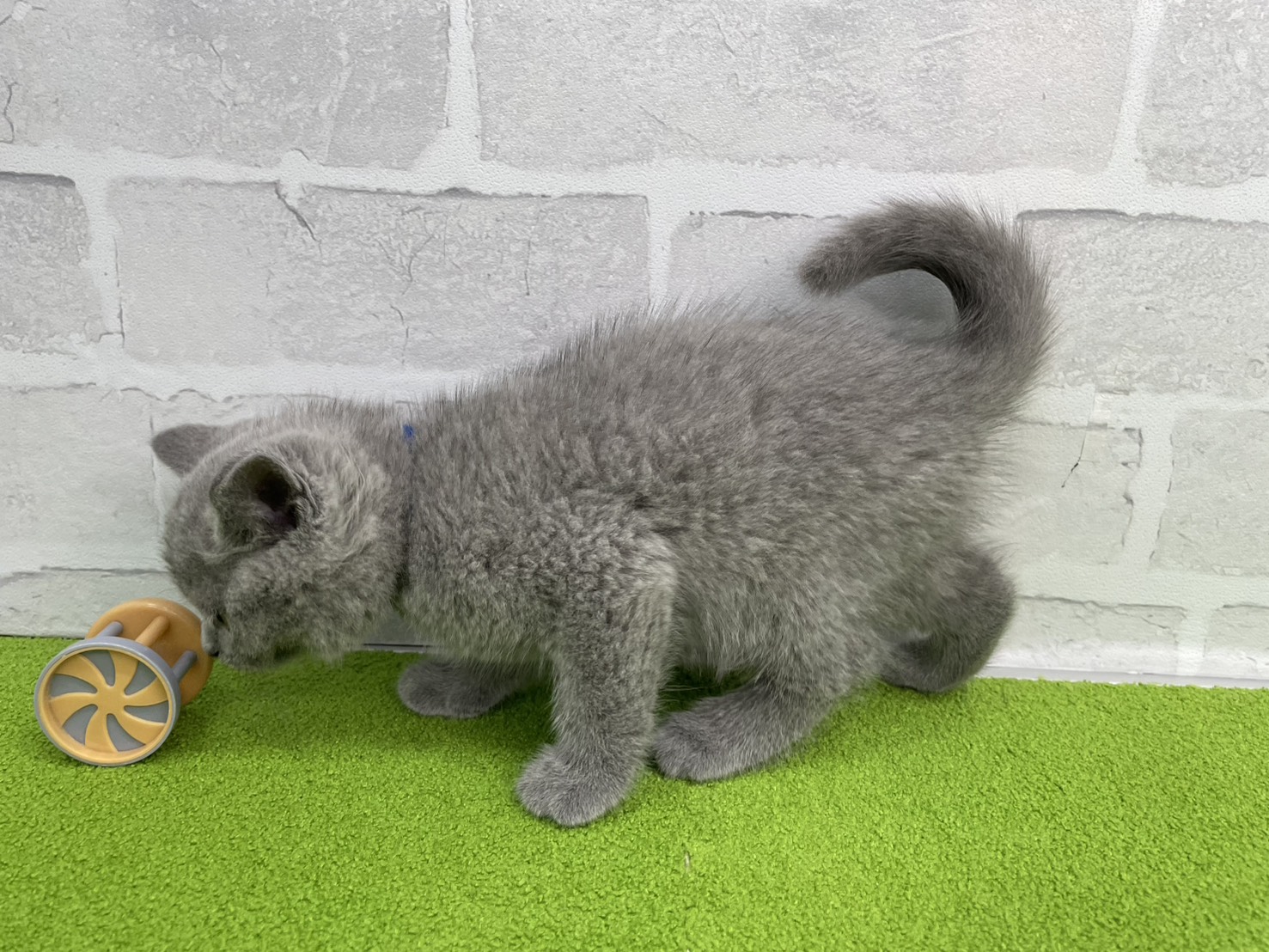 赤ちゃん写真3-2