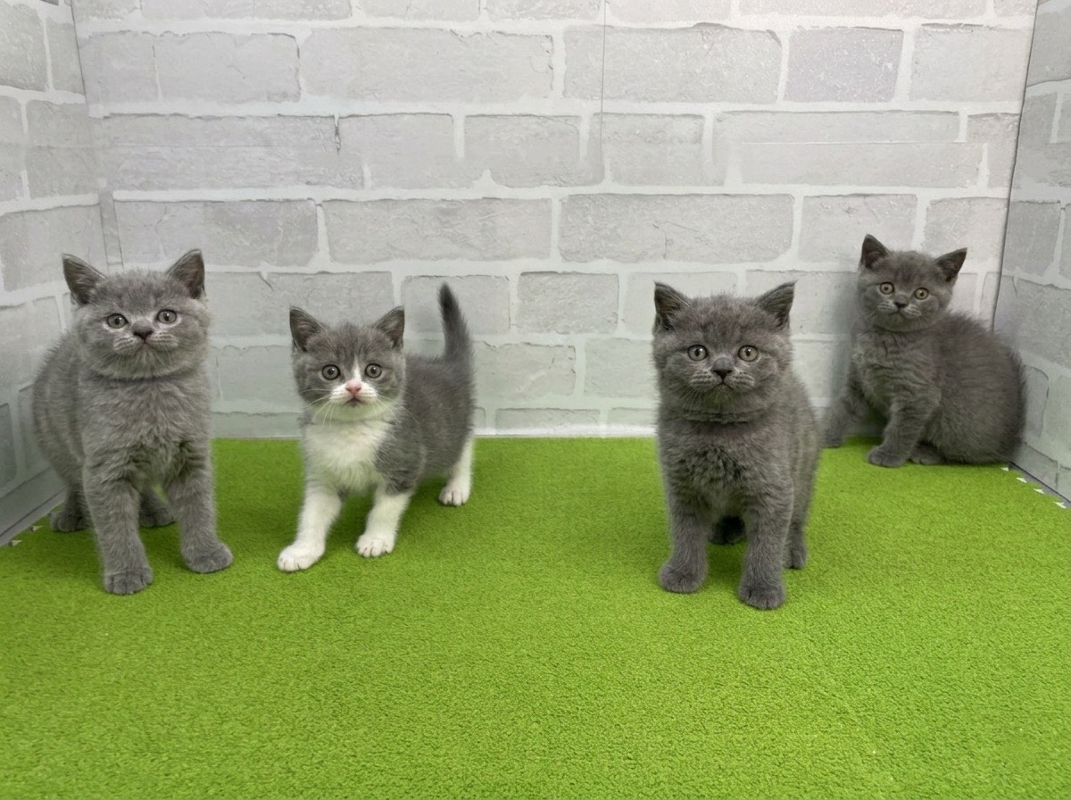 赤ちゃん写真3-3