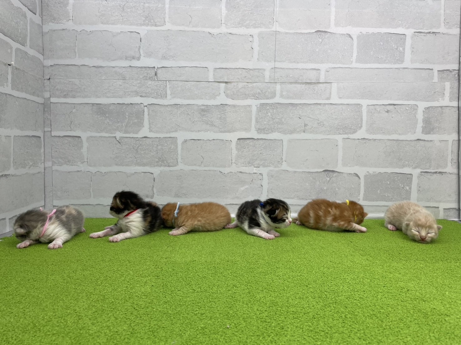 赤ちゃん写真1-3