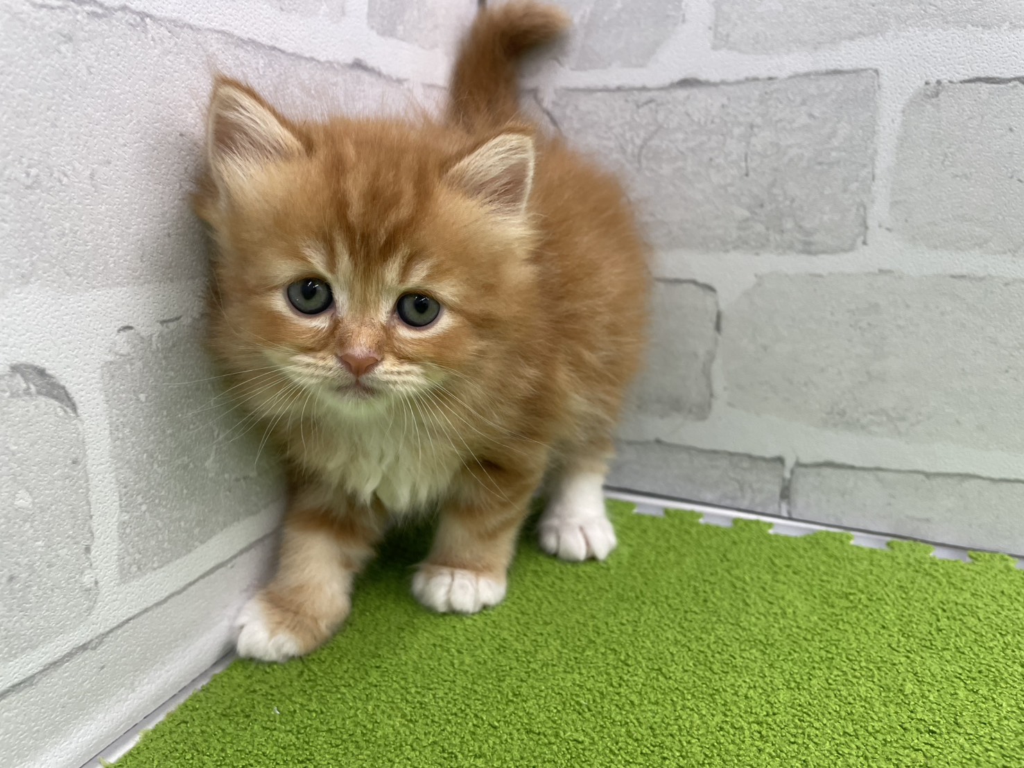 赤ちゃん写真2-1