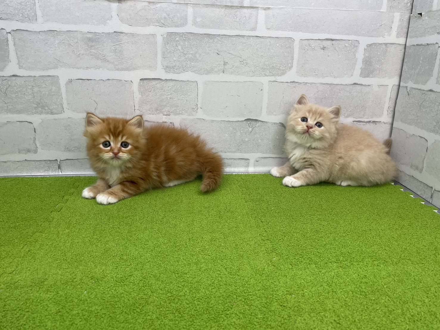 赤ちゃん写真2-3