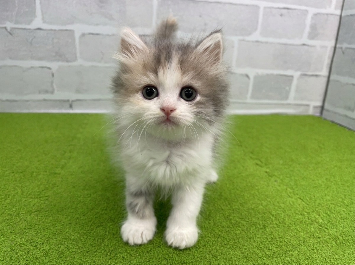 赤ちゃん写真2-1