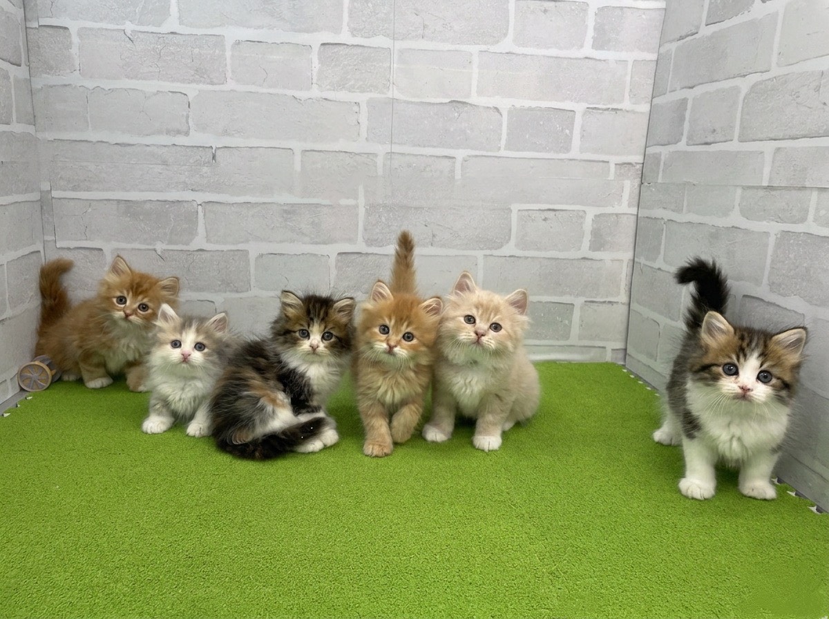 赤ちゃん写真2-3