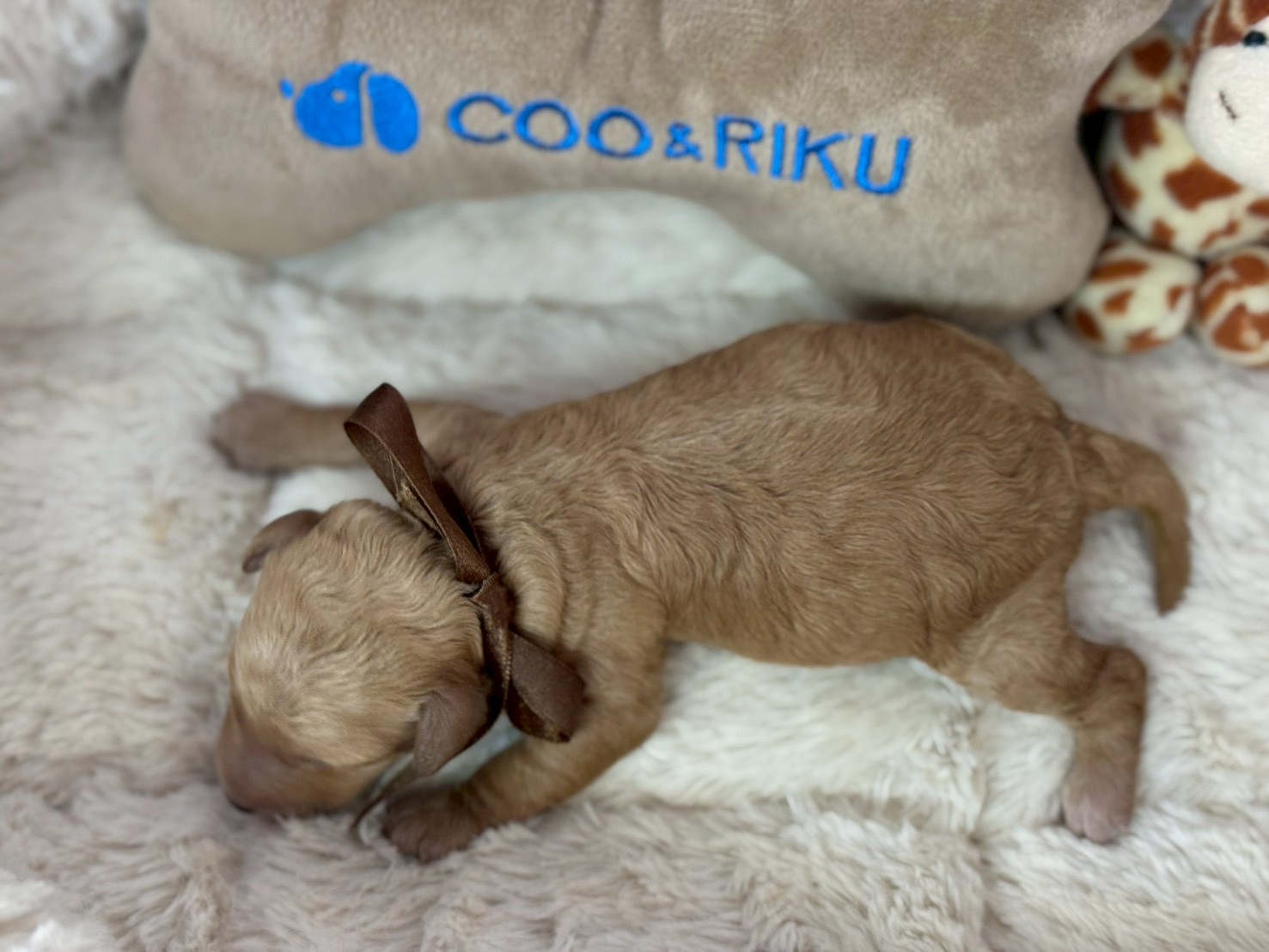 赤ちゃん写真1-3