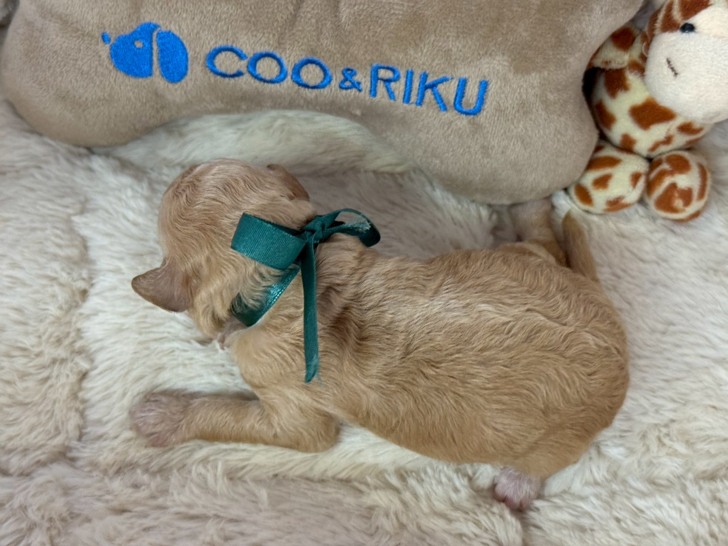 赤ちゃん写真1-3
