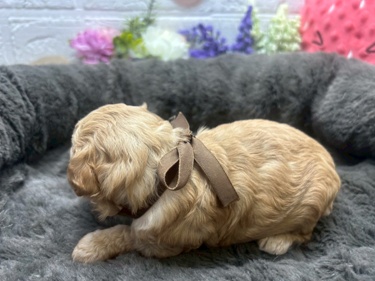 赤ちゃん写真2-2