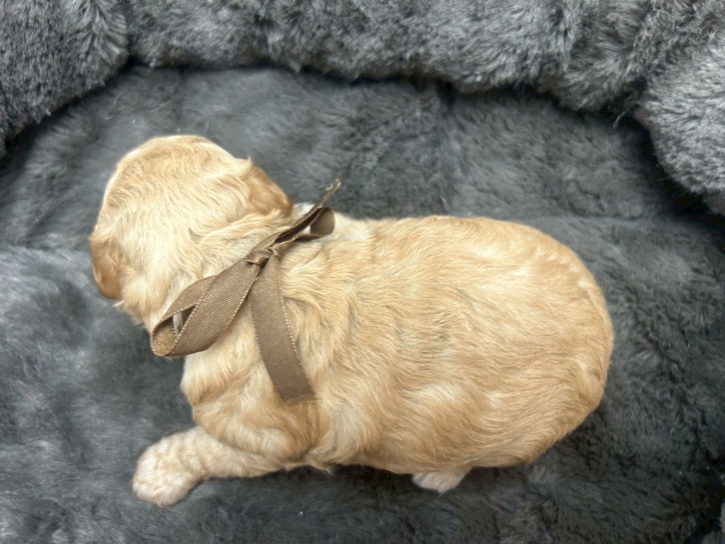 赤ちゃん写真2-3
