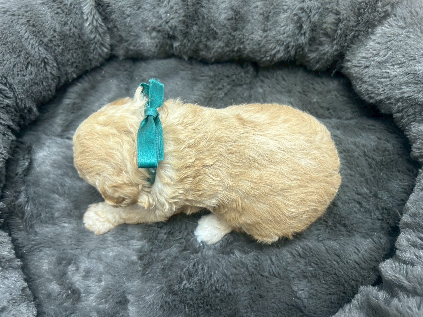 赤ちゃん写真2-3