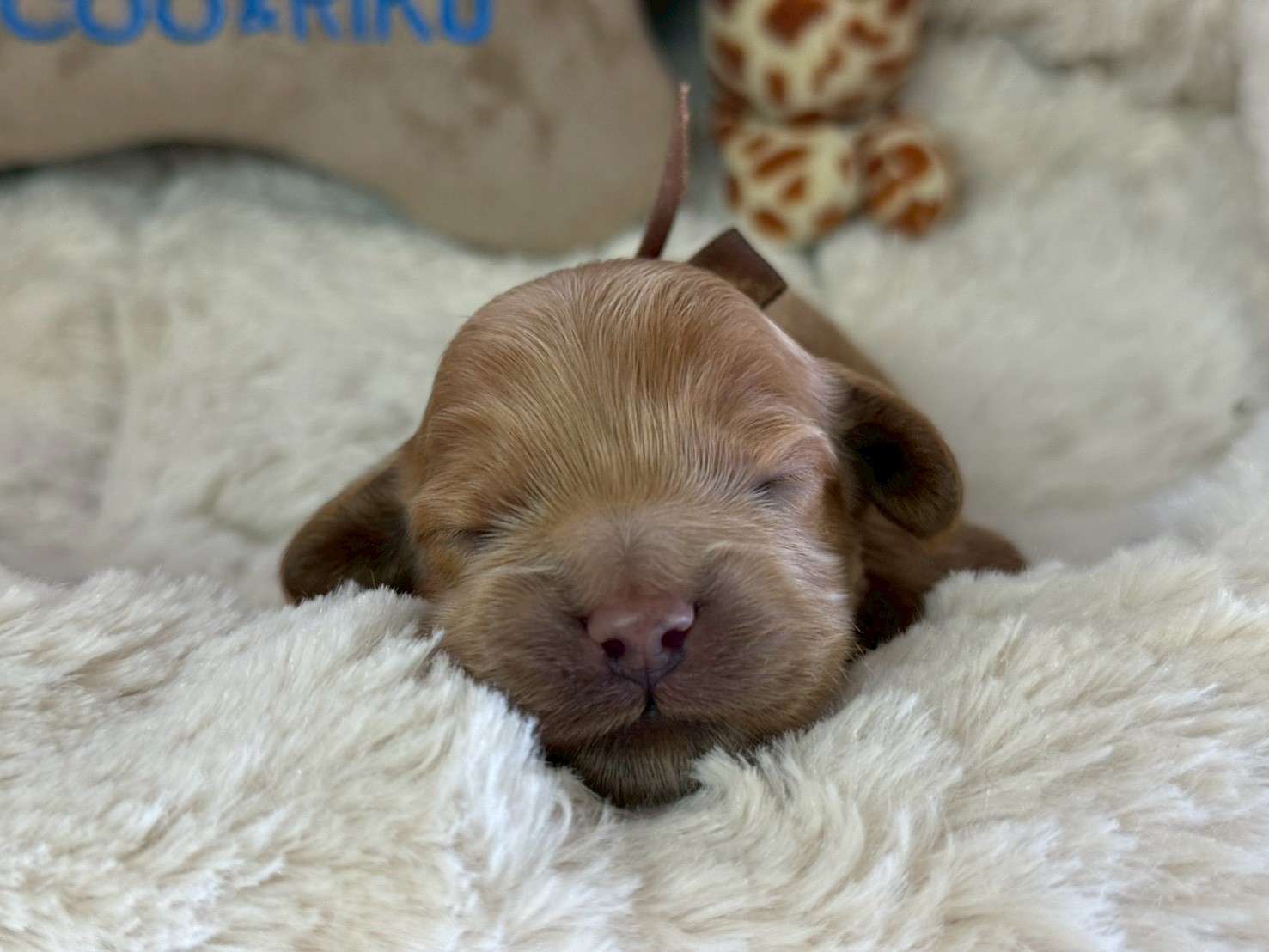 赤ちゃん写真1-1