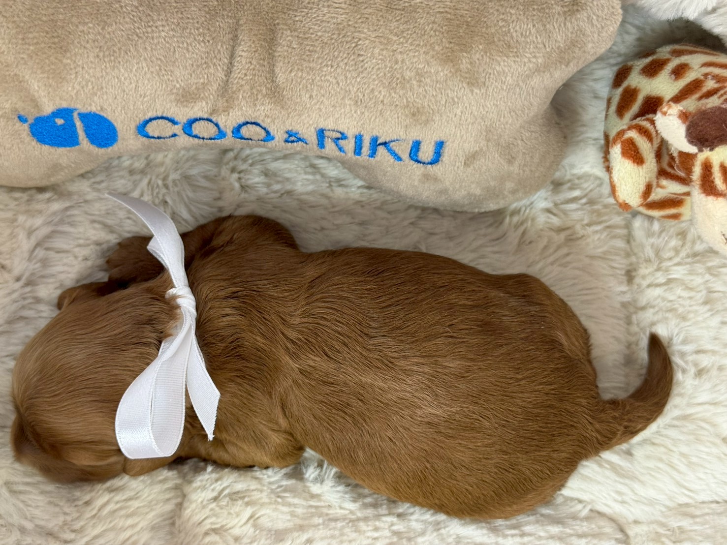 赤ちゃん写真1-3