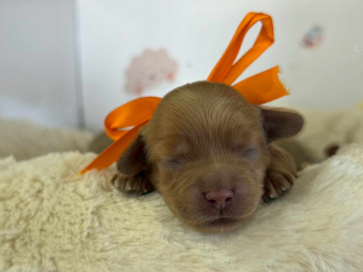 赤ちゃん写真1-1