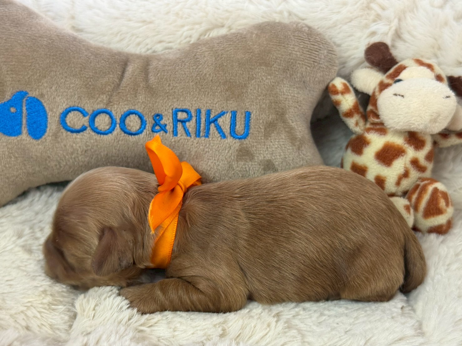 赤ちゃん写真1-2