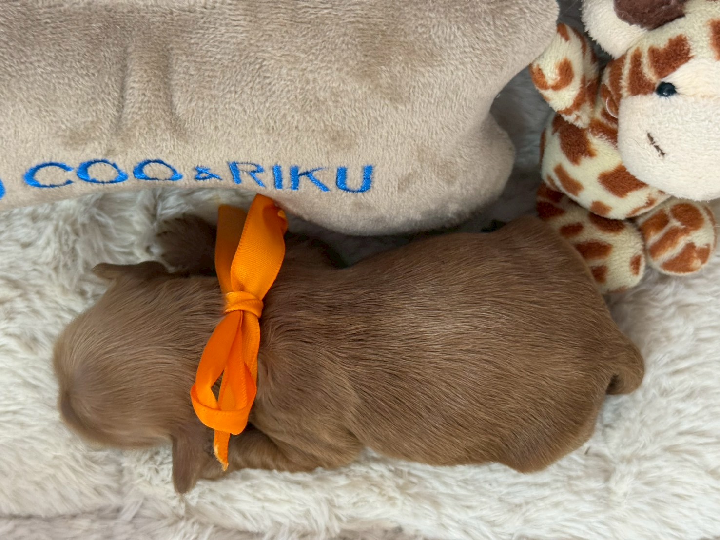 赤ちゃん写真1-3