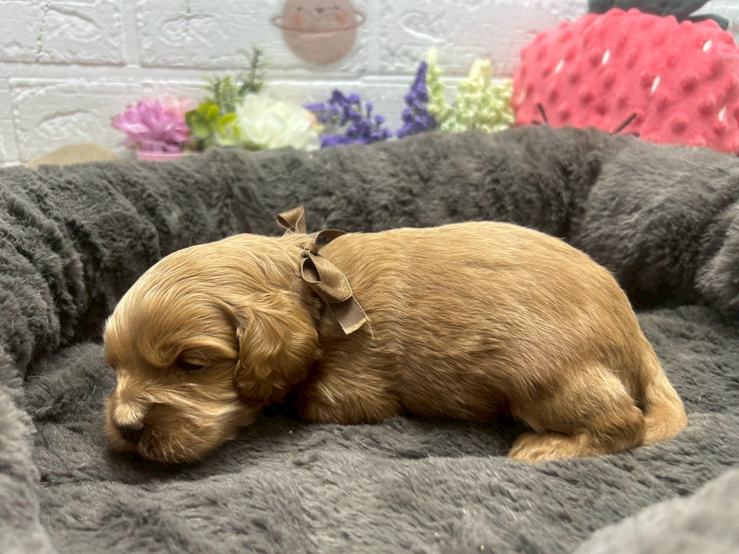 赤ちゃん写真2-2