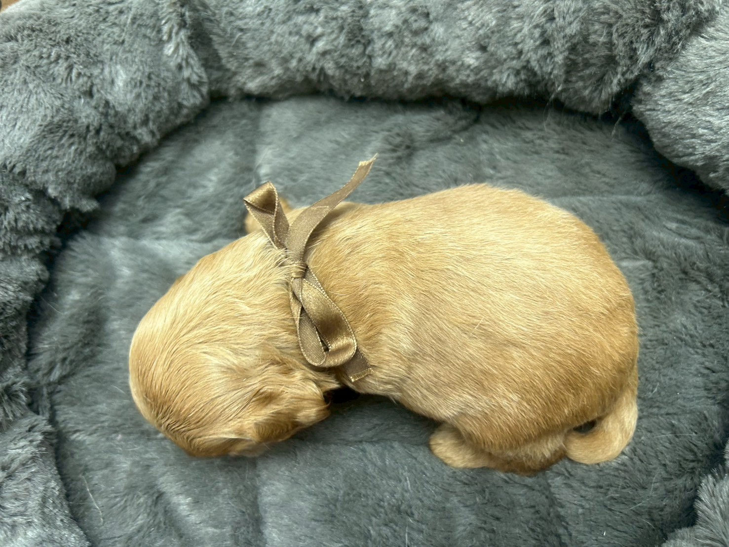 赤ちゃん写真2-3