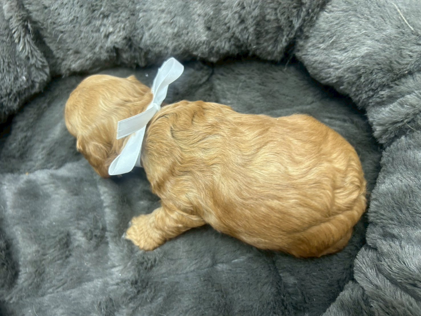 赤ちゃん写真2-3