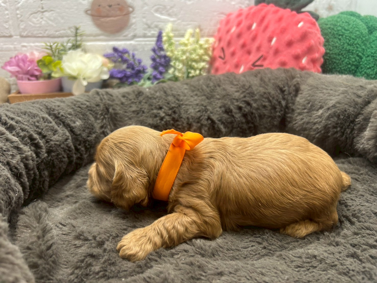 赤ちゃん写真2-2