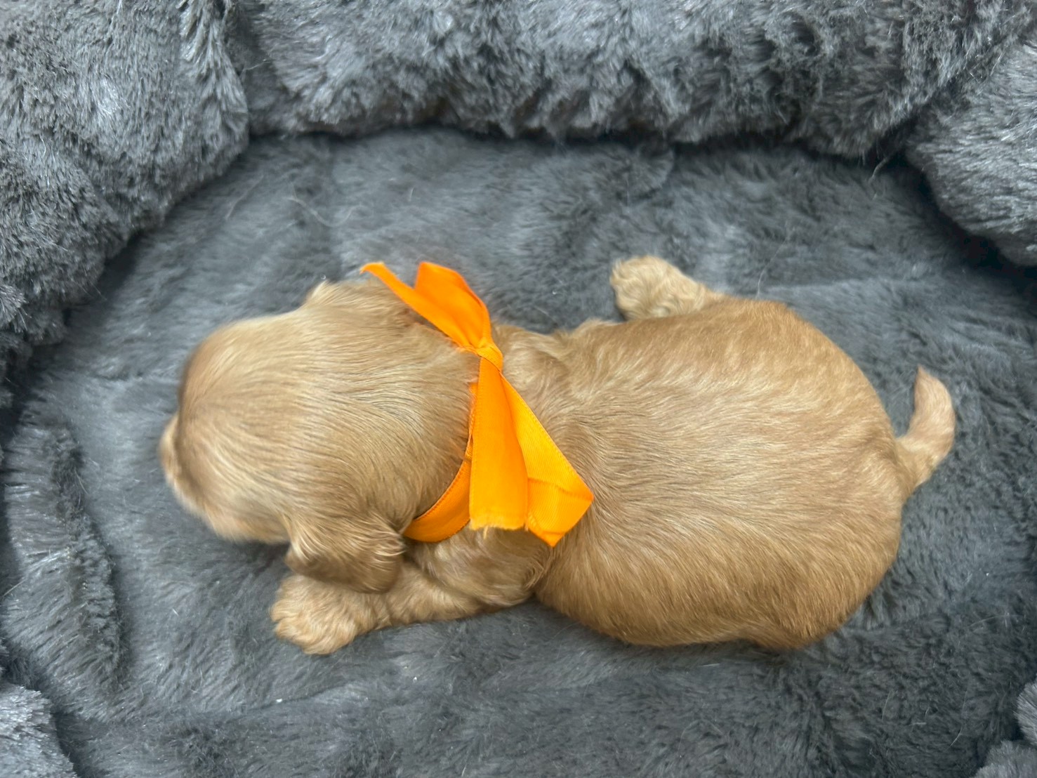 赤ちゃん写真2-3