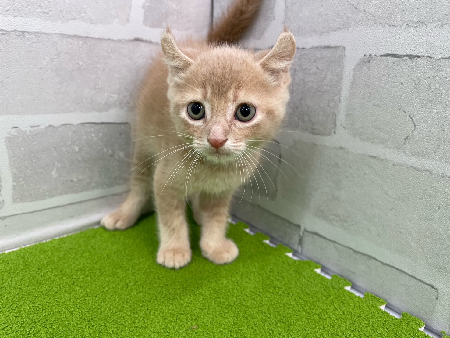 赤ちゃん写真2-1