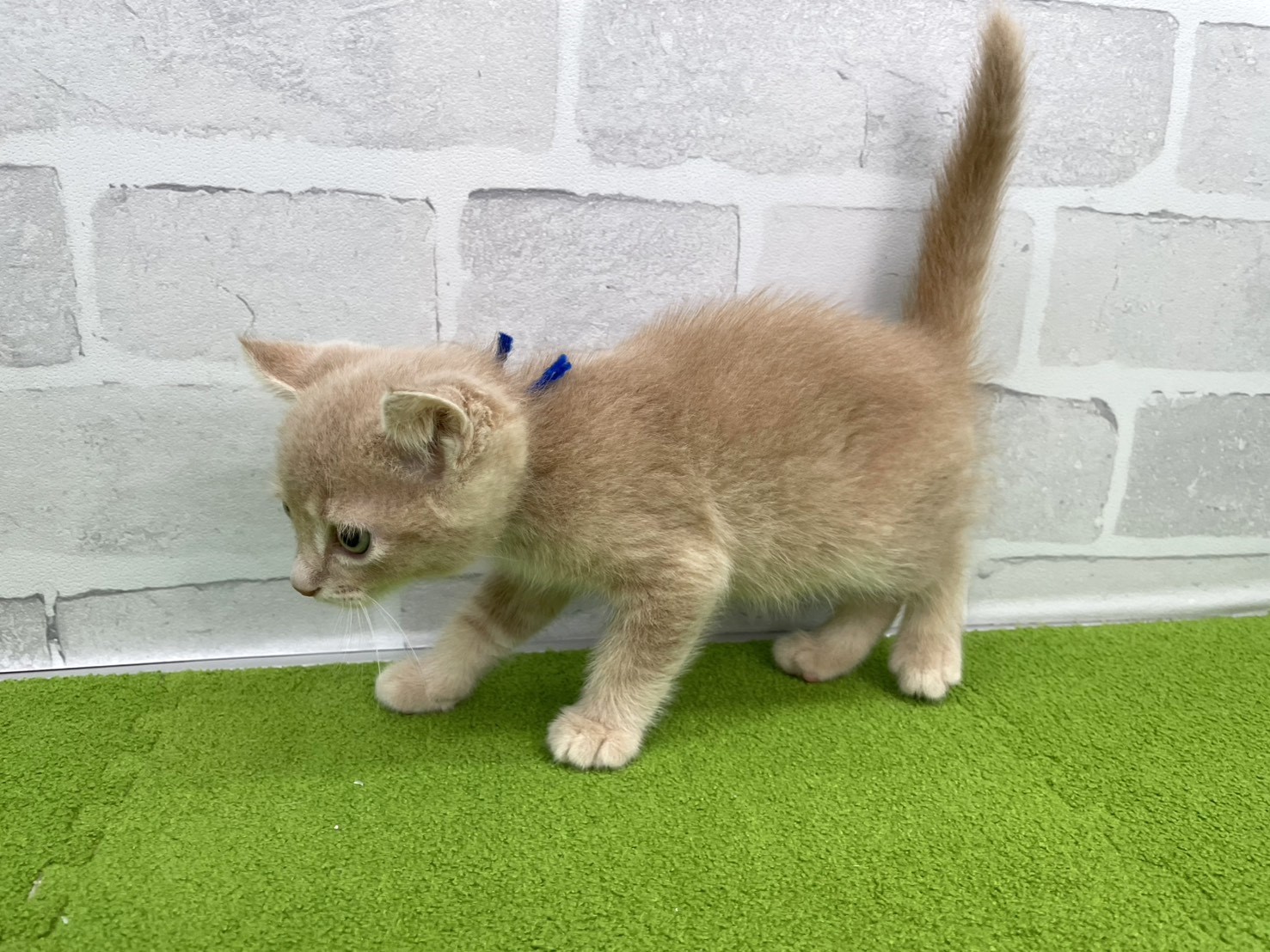 赤ちゃん写真2-2