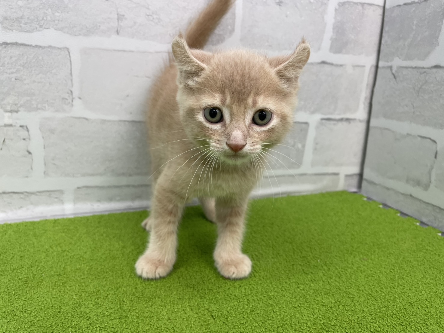 赤ちゃん写真3-1