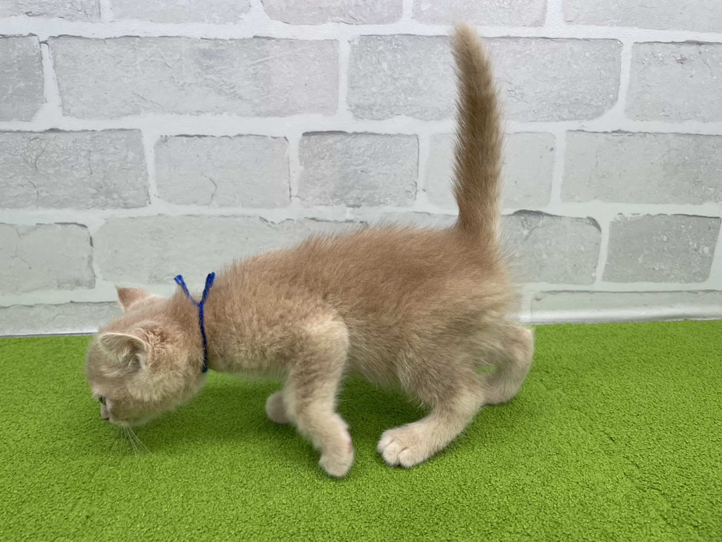 赤ちゃん写真3-2