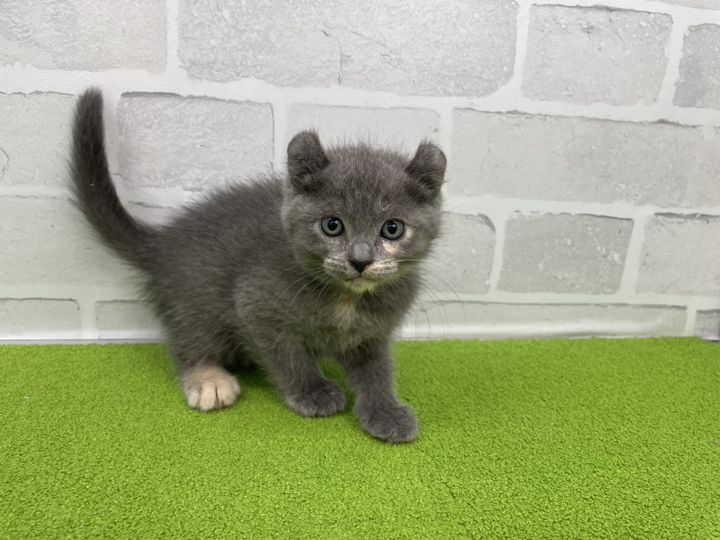 赤ちゃん写真2-1